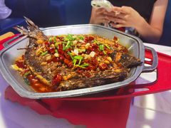 -马邦子·紫苏烤鱼(恒隆广场店)