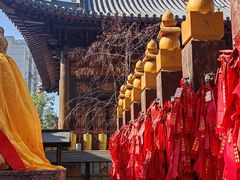 -西安大兴善寺