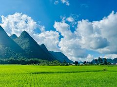 -万峰林风景区