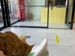 -中农大我爱我爱动物医院·核磁CT·猫病·24小时夜诊中心(石佛营店)