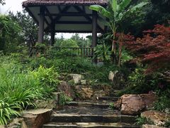 -黄陂区野村谷景区
