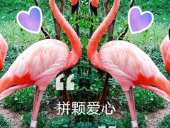 -青岛森林野生动物世界