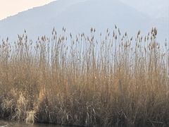 -大理洱源西湖景区