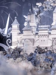 -红丝高端婚礼中心(旗舰店)