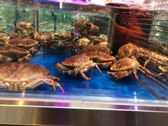 -盒马X会员店(王府井奥莱UP TOWN店)