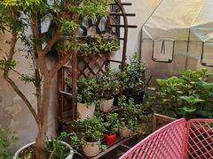 -阿莉餐厅(枣阳路店)