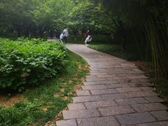 -西安乐游原