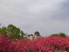 -莲花池公园