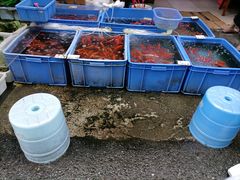 -清平路水族市场