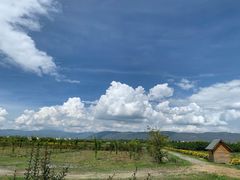 -翠田Green Field Kitchen