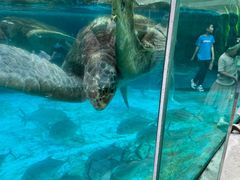 -海合安成都极地海洋公园
