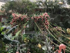 -杭州第一世界大酒店·云曼温泉