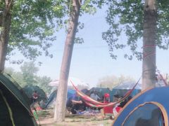 -天津武清北运河郊野公园房车露营地