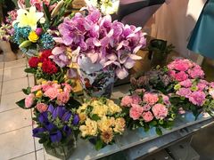 -双季花艺园艺市场(浦东店)