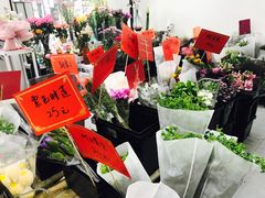 -溪岸路花鸟市场