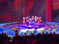 -珠海横琴长隆《卡卡虎奇遇记》