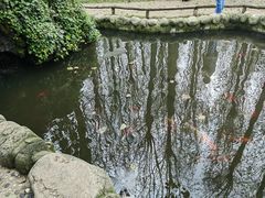 -林间山庄
