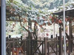 -天怡·鱼工厂(梅溪湖店)