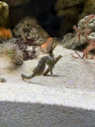 点击看大图 -Zoolung Zoolung动物主题公园(海信广场店)