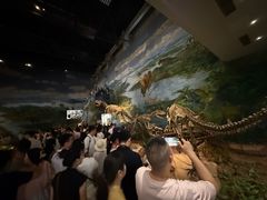 -自贡恐龙博物馆