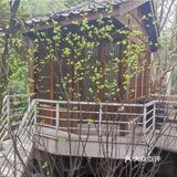 氛围感满满的湘菜馆，味道超薄[胜利][胜利][胜利]