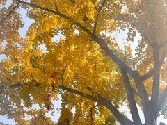 -上海不夜城广场(上海不夜城金融大厦店)