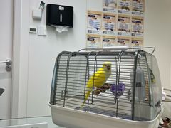 -立德异宠动物医院.兔鸟爬.内窥镜(天河店)