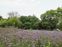 -梁鸿国家湿地公园