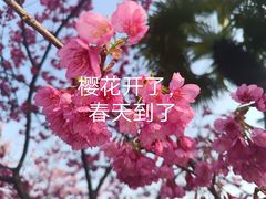 -大宁公园