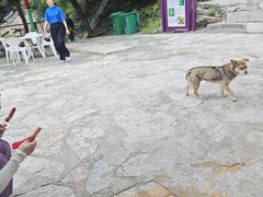 -北京上方山国家森林公园
