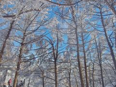 -崂山巨峰游览区