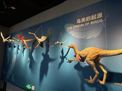 -自贡恐龙博物馆