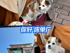 -大理床单厂艺术区