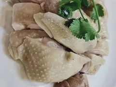 -清新鸡沙田乳鸽店(金融店)