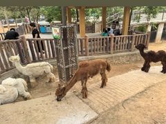 -石家庄市动物园