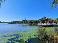 -长春市南湖公园