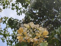 -田心森林公园
