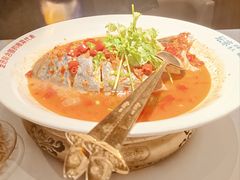 -坛宗剁椒鱼头(河西王府井店)