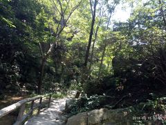 林中小道-木兰云雾山