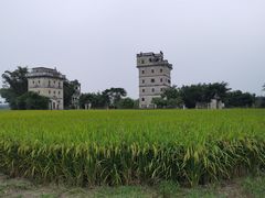 -文记煲仔饭