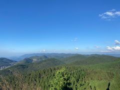 -武陵山森林公园
