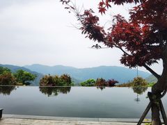 -江南天池