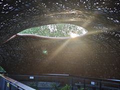 -东寨港红树林旅游区