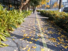 -两江幸福广场