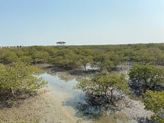 -北海金海湾红树林生态旅游区