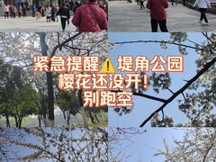 -堤角公园