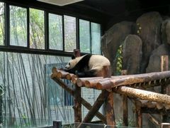 -野生动物园-停车场