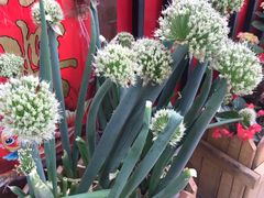 -何适山庄 ·可团建(水长城P2停车场店)