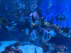 -海合安成都极地海洋公园