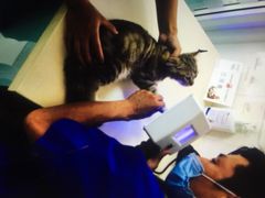 北京康乐宝动物医院-康乐宝动物医院